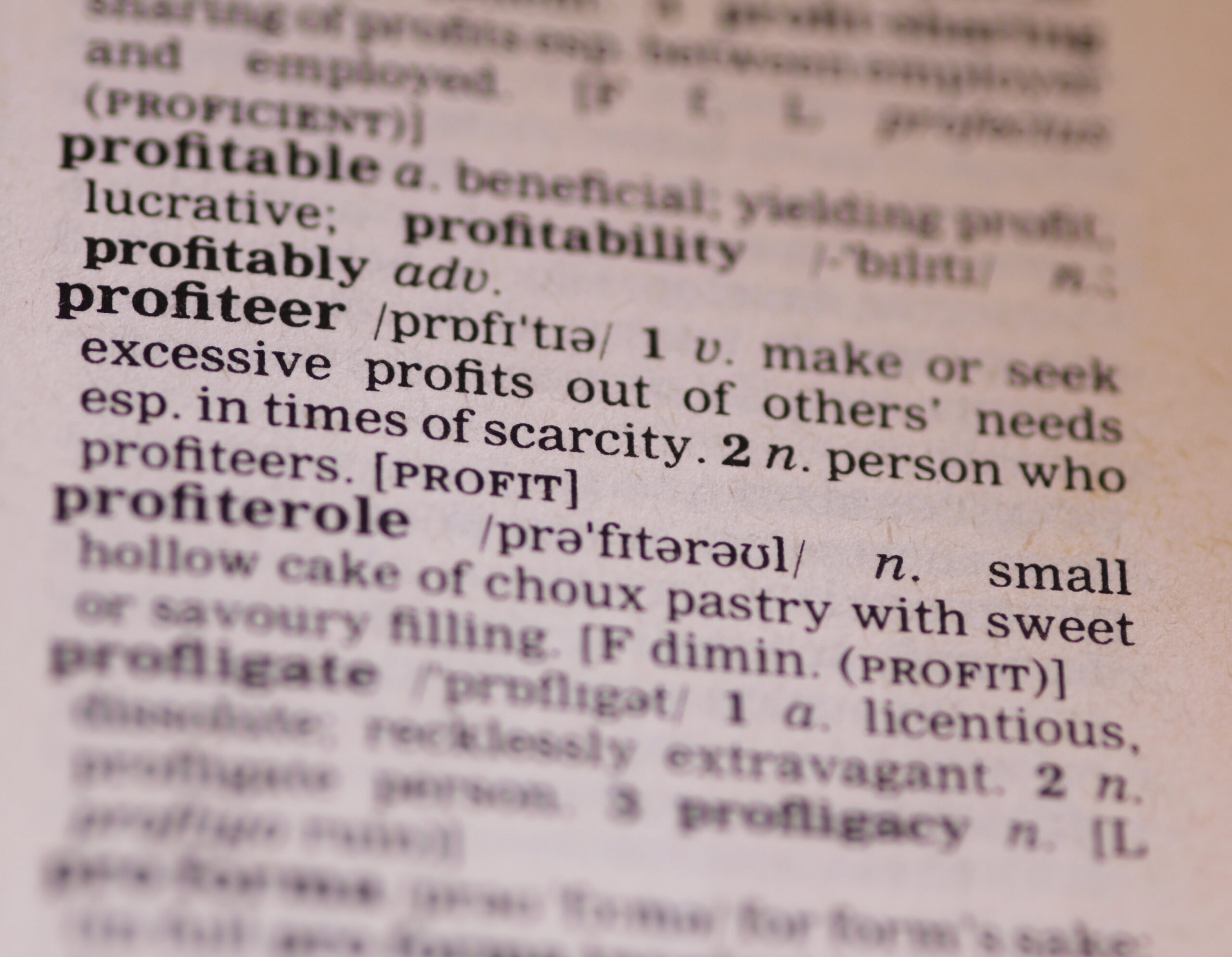dictionary page of the word profiteer