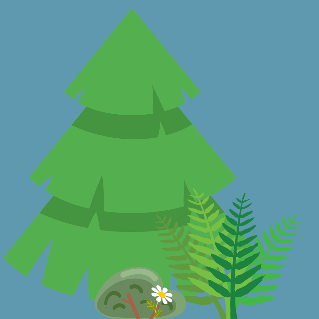 A digitally drawn microcosm which shows a flower being sheltered by a bush which is being sheltered by a fern which is being sheltered by a spruce tree