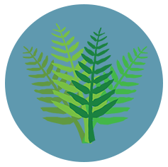 A digitally drawn fern inside a denim blue circle