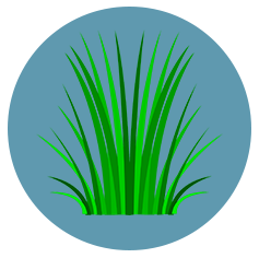 A digitally drawn tuft of grass sitting inside a denim blue circle