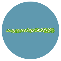 A digitally drawn patch of white clover sitting inside a denim blue circle
