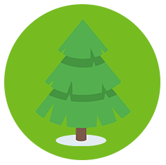 A digitally drawn spruce tree sitting inside a green circle